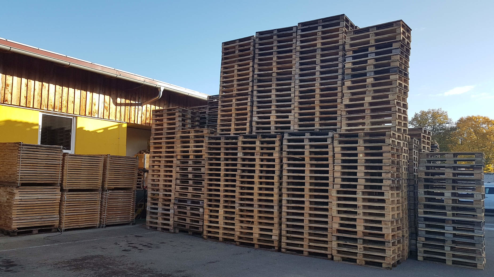 Holzpaletten von E&S Palettenservice und Kühltransporte OHG 